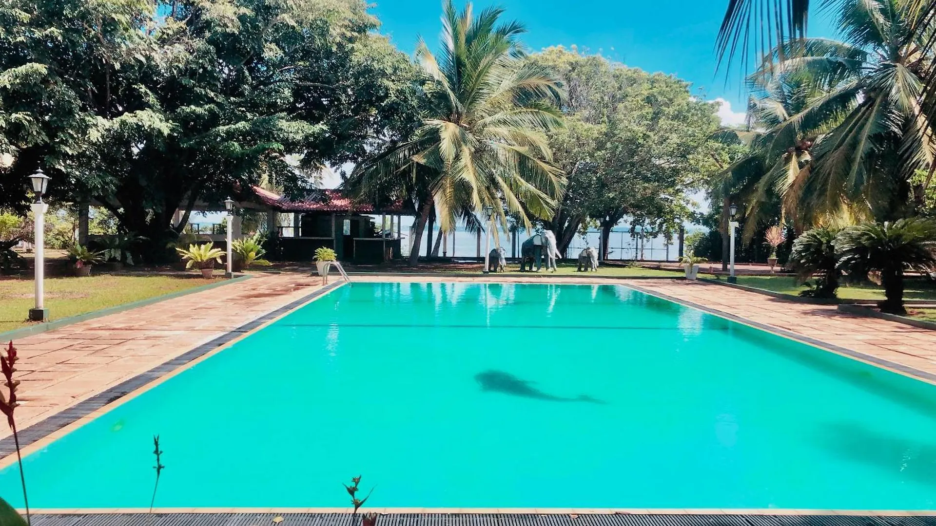 Hotel Lagoon Paradise Negombo