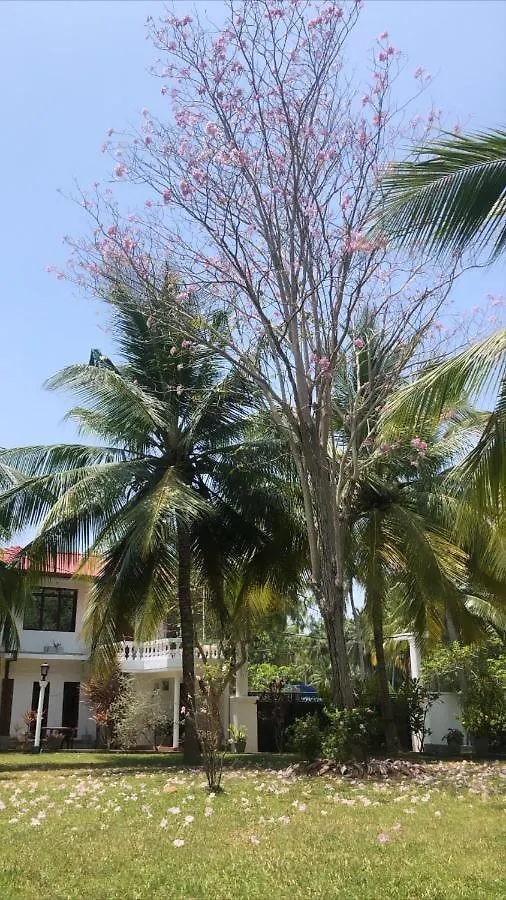 Hotel Lagoon Paradise Negombo 3*,